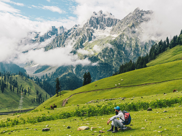 Tour Booking Agent Srinagar