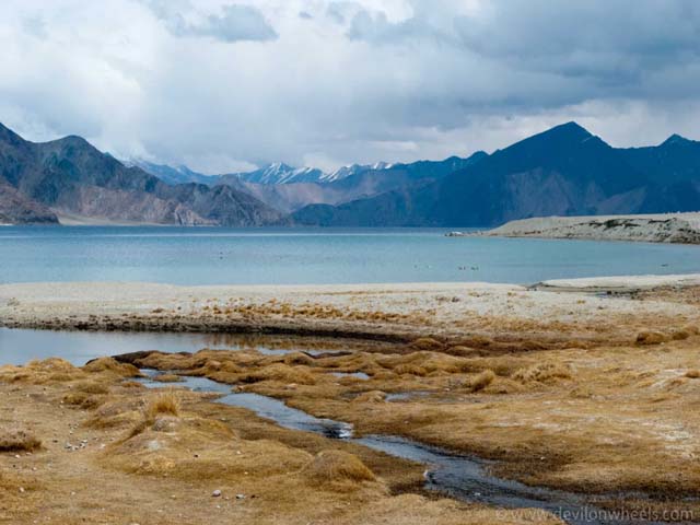 tour operator in pahalgham