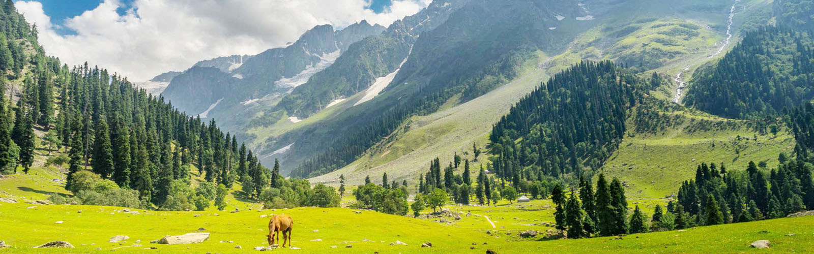 tour operator in pahalgham